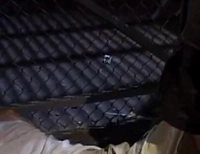Skinhead Pig Fucked
