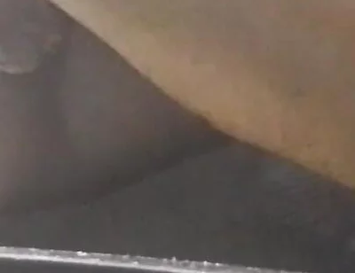 Temptingtalex