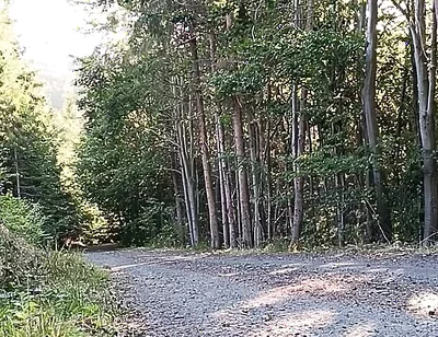 Scooter Rider Outdoor Masturbation