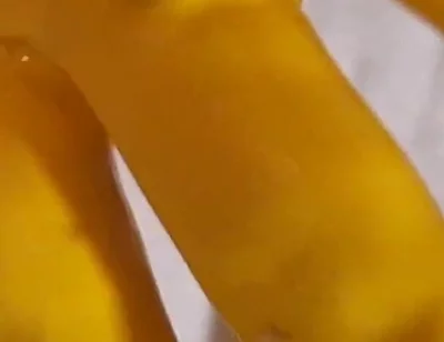 Dream Ofevolutionvip.de Latex Gloves
