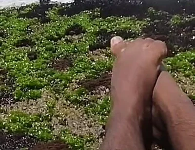 My Beautiful Feet After a Day of Work Taking Vitamin D on the Beach