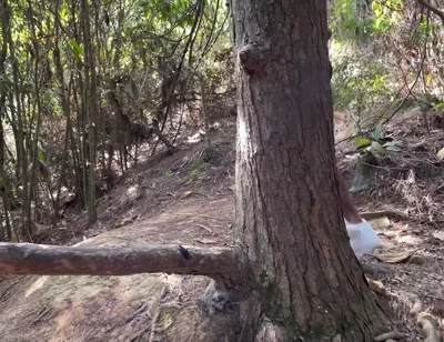 A Curious Heterosexual Boy Saw Me Masturbate in the Forest and We Ended up Fucking