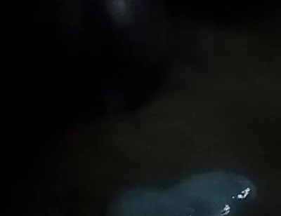 Mestubution Milk