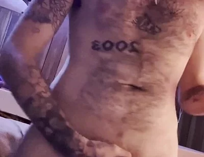 Solo Wolf