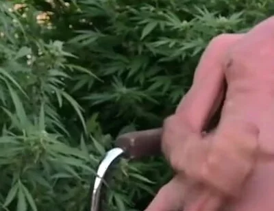 Cumshot Outdoors