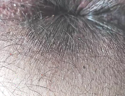Face Farting POV HD