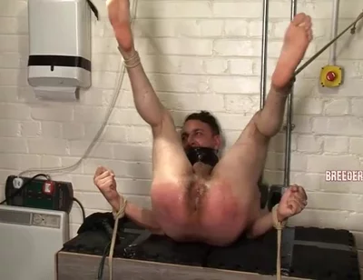 Breeder Fuckers Dale 4