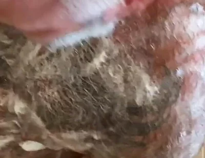 Still Dirty