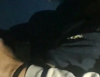 Watching Videos of Me Jerking