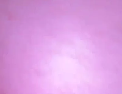 Anal Fun