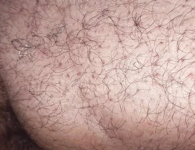 A Close up Ass Worshiping and Fingering