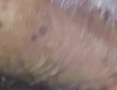 Feeling Horny Now