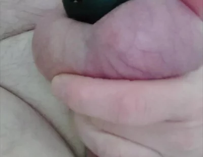 Horny Release of the Penis From the Cage
