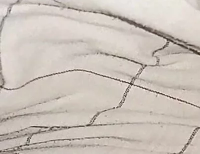 My Big Cock Without Condom Fucking Pussy