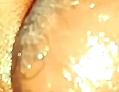 Omg I Can't Believe He Did This! Big Dick Jerk off Big Cock Masturbation BBC Sex Jerk