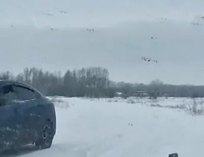 Anal Explosion of on a Taxi Driver's Dick on the Side of the Road on a Cruise