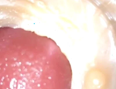 Compilation Creampie Part 4 POV