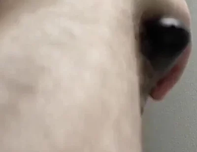 Shaving and trimming my cock, balls, and face