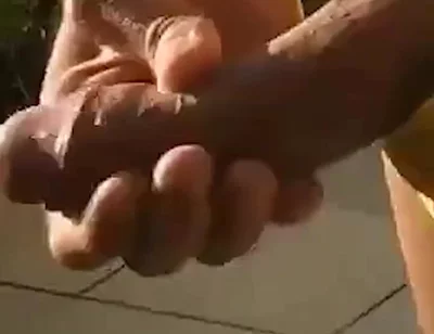 Wife Suck Cock in Nudist Beach House
