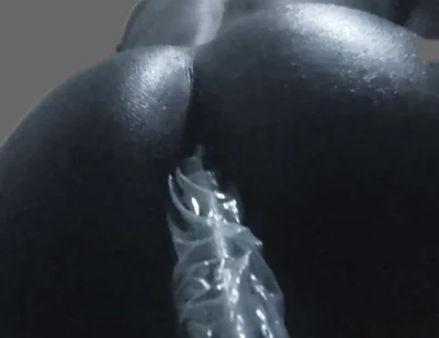 Condom or No Condom?