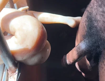 The Prisoner Cum Hard Needed to Help Cum More