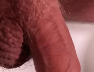 Exposed Glans, Naked and Relaxed Bear