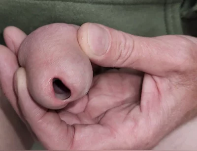 Urethral Toys and Gaping Pee Hole While Urinating