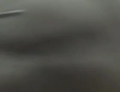Essasexe 2