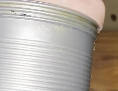 Deep Fucking My Fleshlight