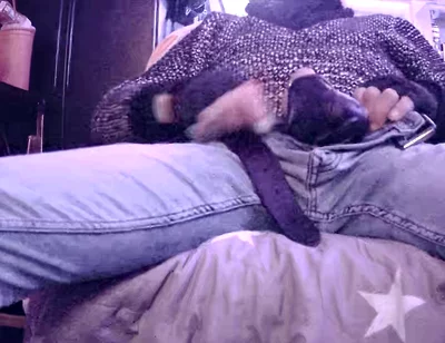Stepdaddy Is Fooling Around Part 3 (cumming)