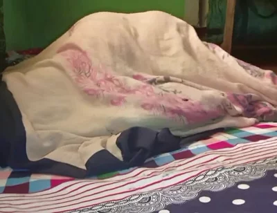 Anal Sex with My Girlfriend
