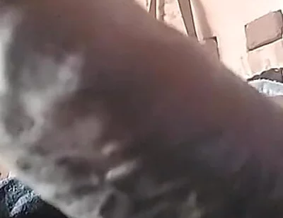My Cock Is Very Hard and Long