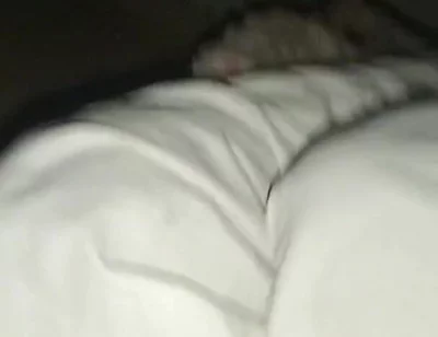 Night Time Vlog It Home and. Sex Girl Friend