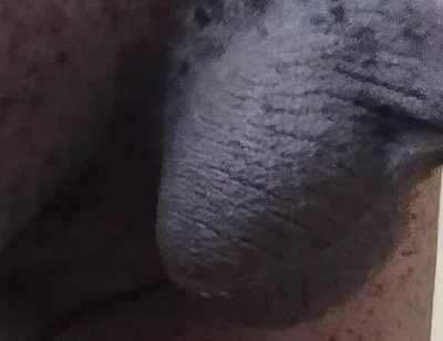 Come See My Hairy Huge Balls