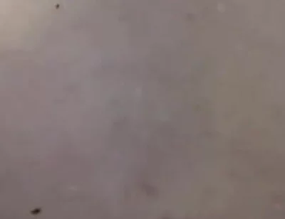 Tits Play so Good