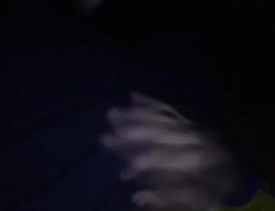 Sexy Man with Tremendous Cock Touching Himself on the Couch
