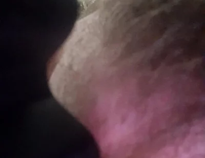 Licking Boots