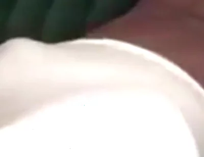 Bouncing my big black dick teasing fan request