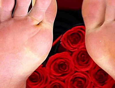 San Valentine's Master Feet Edition