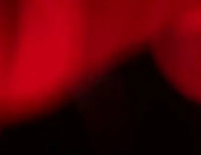 Red Light