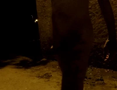 Crusing in a Park at Night - Getting Naked 2