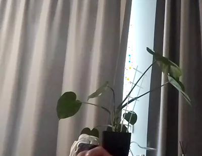 Home Masturbation