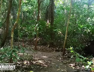Cumming in the Park