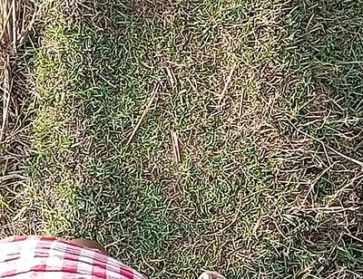 Gay Boy Outdoor Night Pussy Hole Sucking