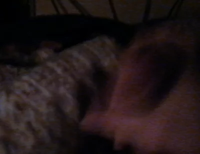 Teen Cums