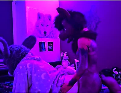 This Submissive Furry Bunny Slut Is Getting Pegged By A Furry Wolf So He Knows His Place