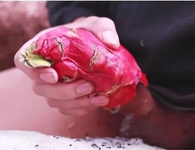 I Was So Horny I Fucked A Dragon Fruit