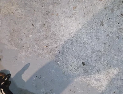 Shooting, Gushing Cumming Big Loads
