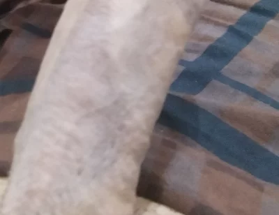 Handsome Boy Masturbation