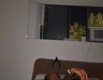 Late Night Dildo & Wank Sesh